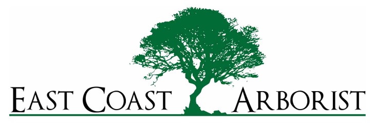 East Coast Arborist